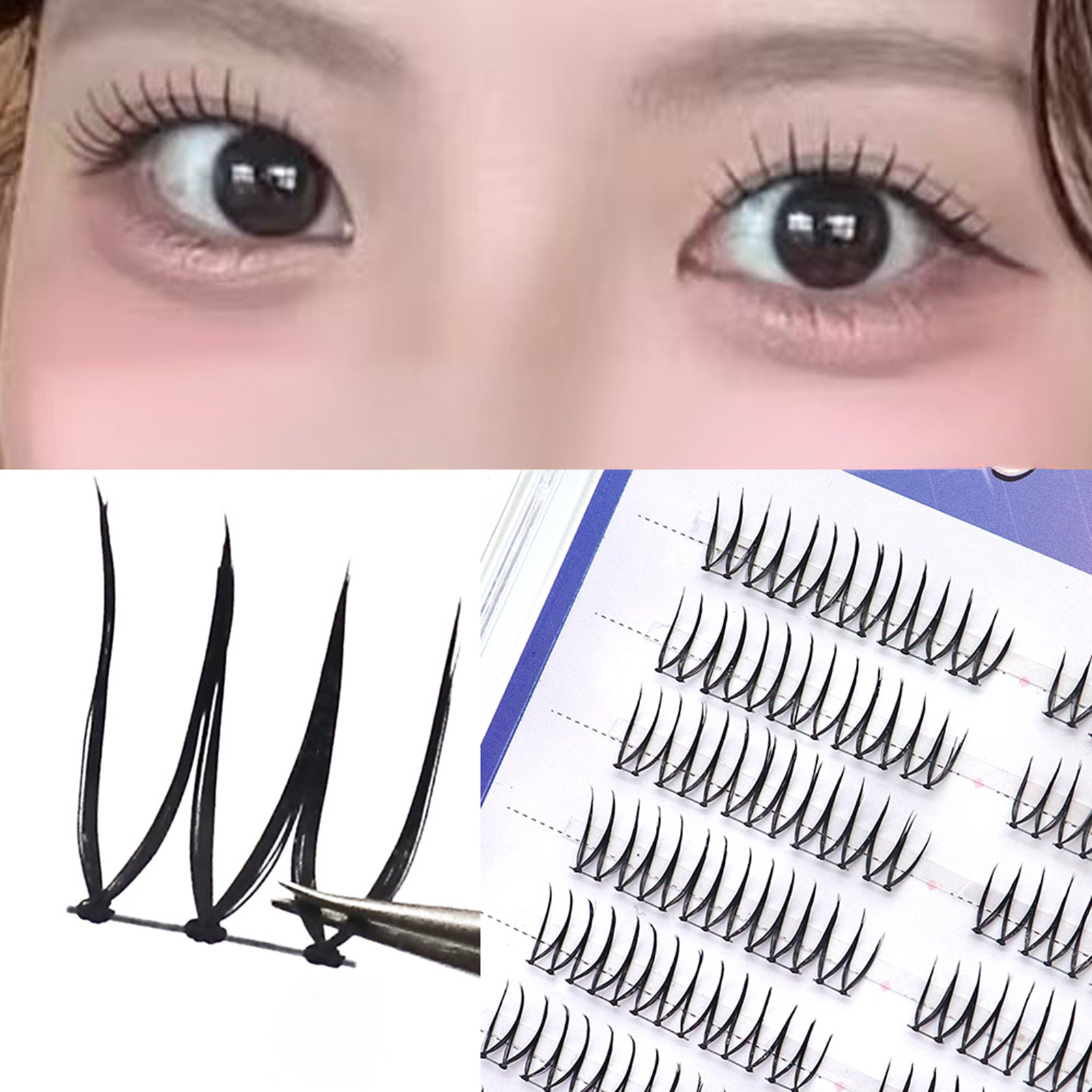ขนตาปลอมสไตล์ไอดอลเกาหลี รูปทร - Eyelash Extension Korean Style บทวิจารณ์และราคา