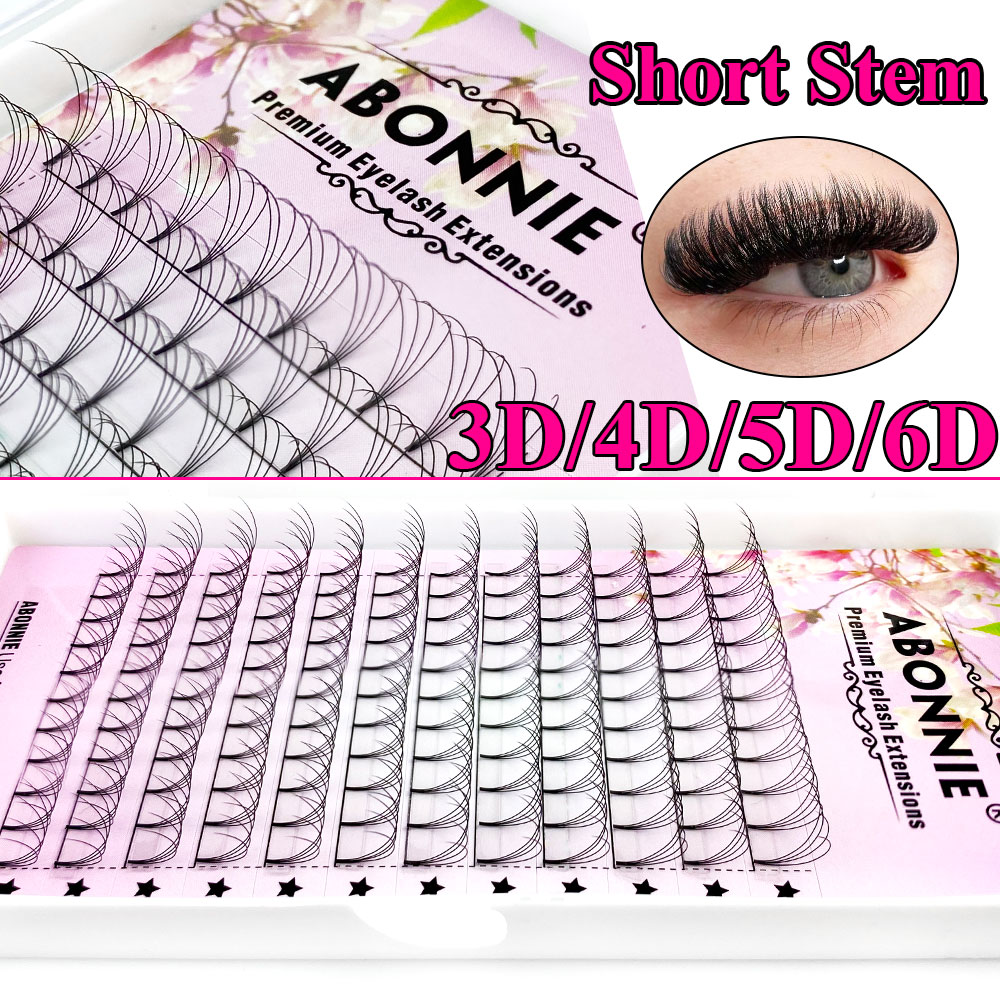 ขนตาปลอม Abonnie 6D Narrow Fan - Eyelash Extension For Asian Eyes บทวิจารณ์และราคา